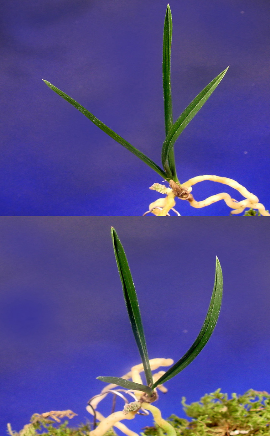 ������ ū������ �� �� �ֽ��ϴ�.