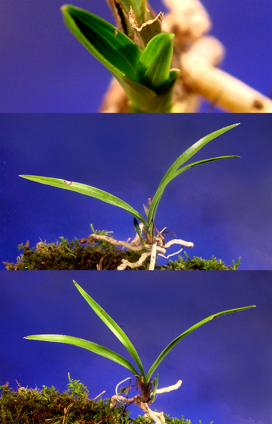 ������ ū������ �� �� �ֽ��ϴ�.