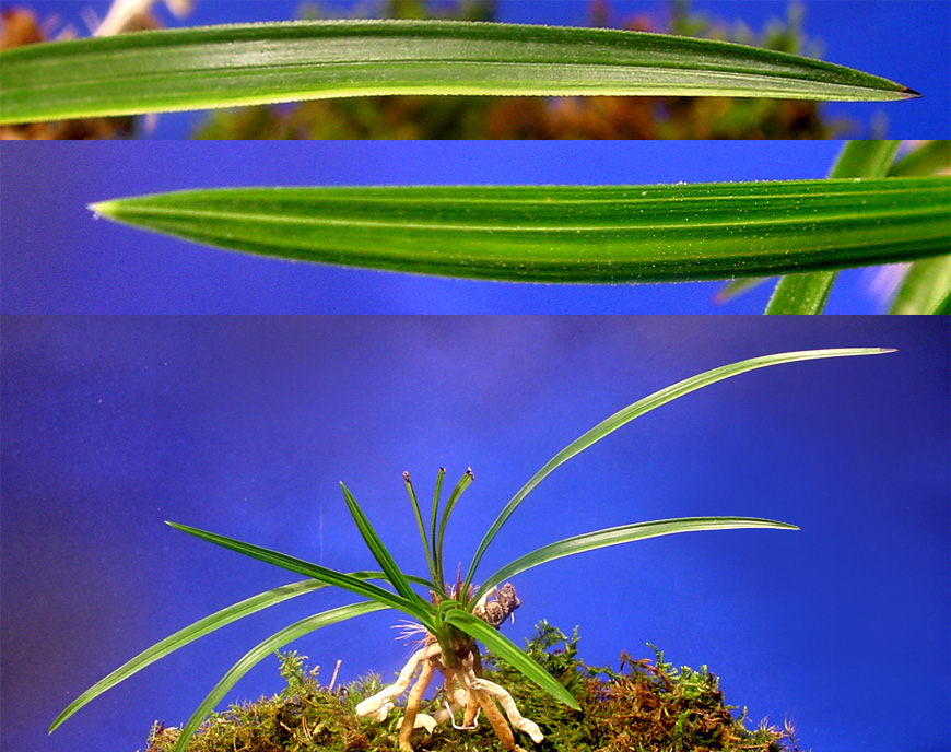 ������ ū������ �� �� �ֽ��ϴ�.