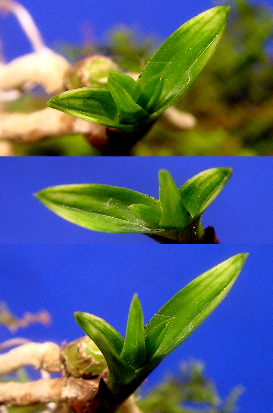 ������ ū������ �� �� �ֽ��ϴ�.