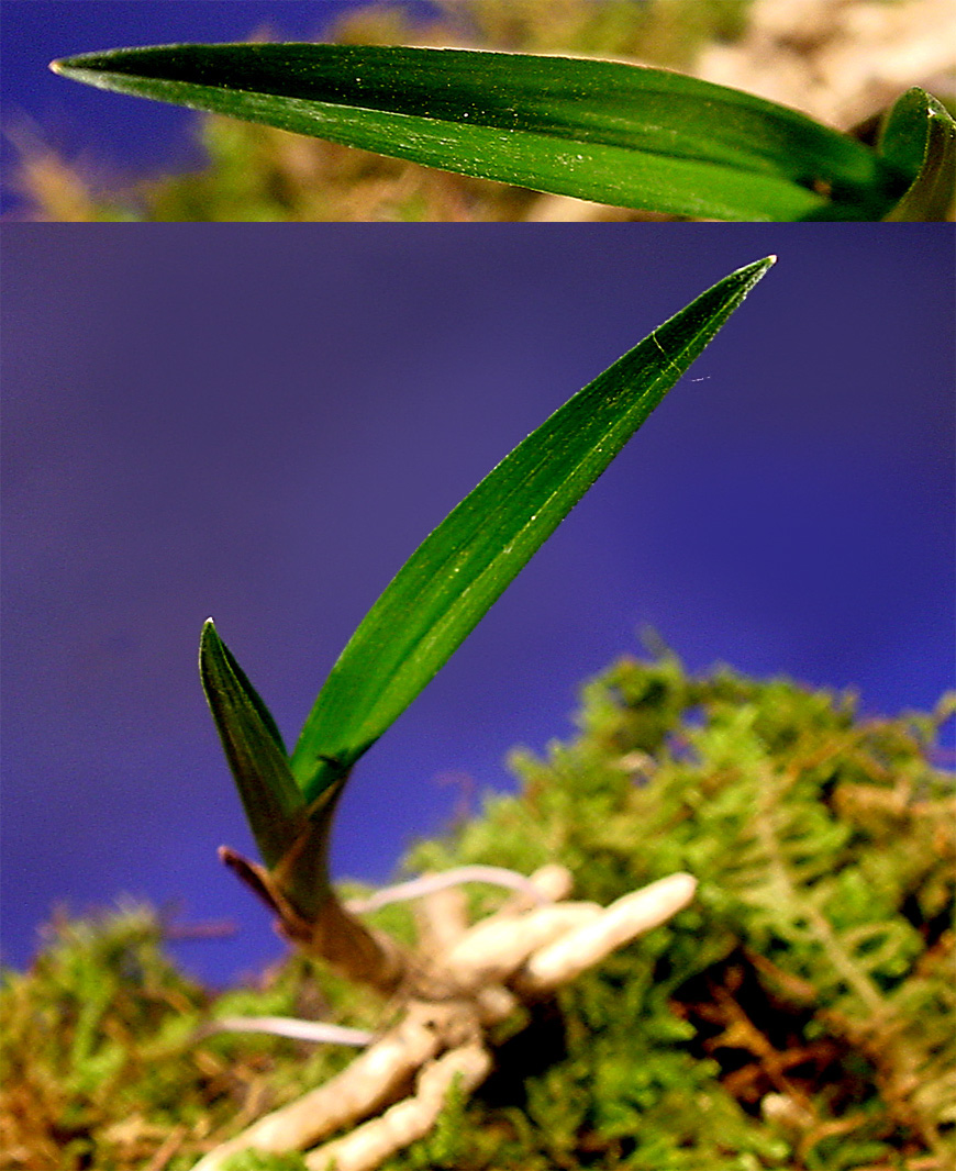 ������ ū������ �� �� �ֽ��ϴ�.