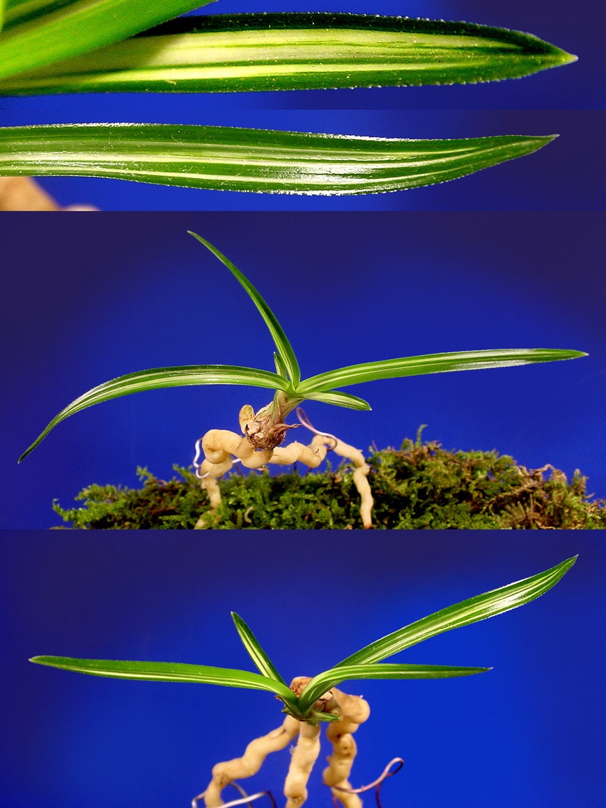 ������ ū������ �� �� �ֽ��ϴ�.