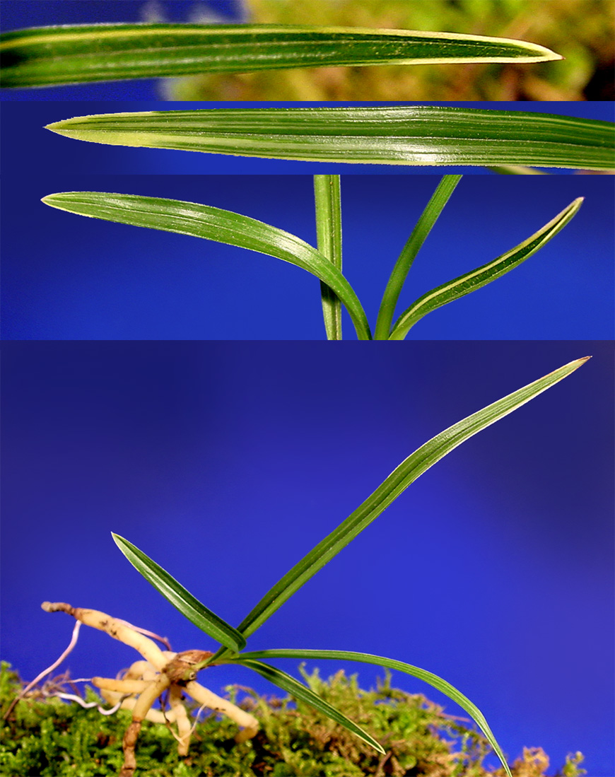 ������ ū������ �� �� �ֽ��ϴ�.