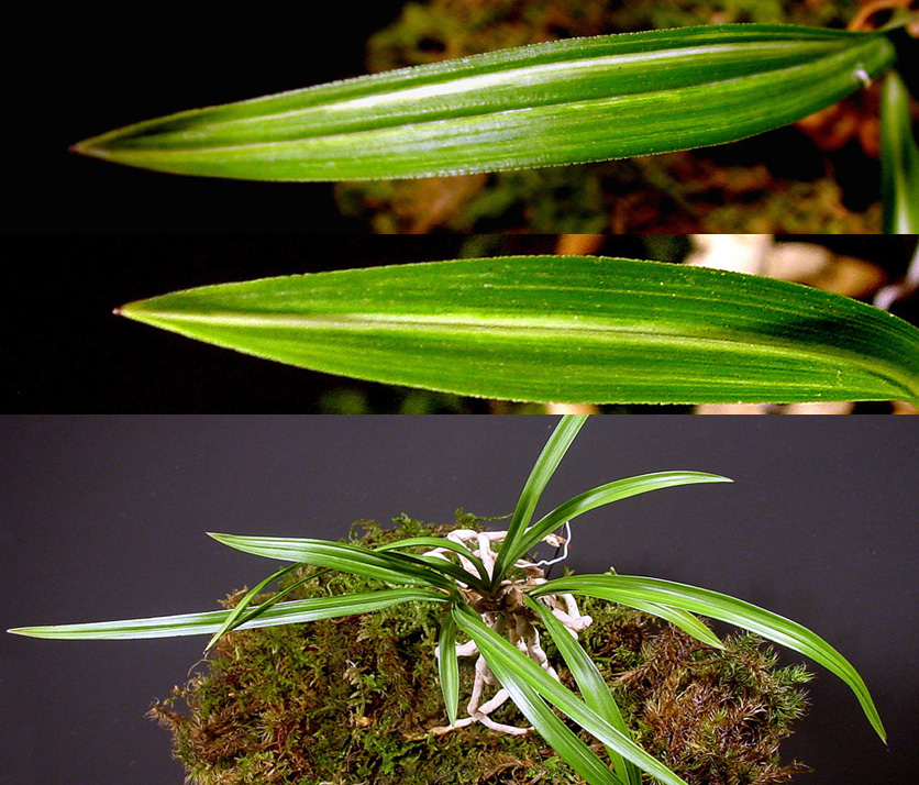 ������ ū������ �� �� �ֽ��ϴ�.