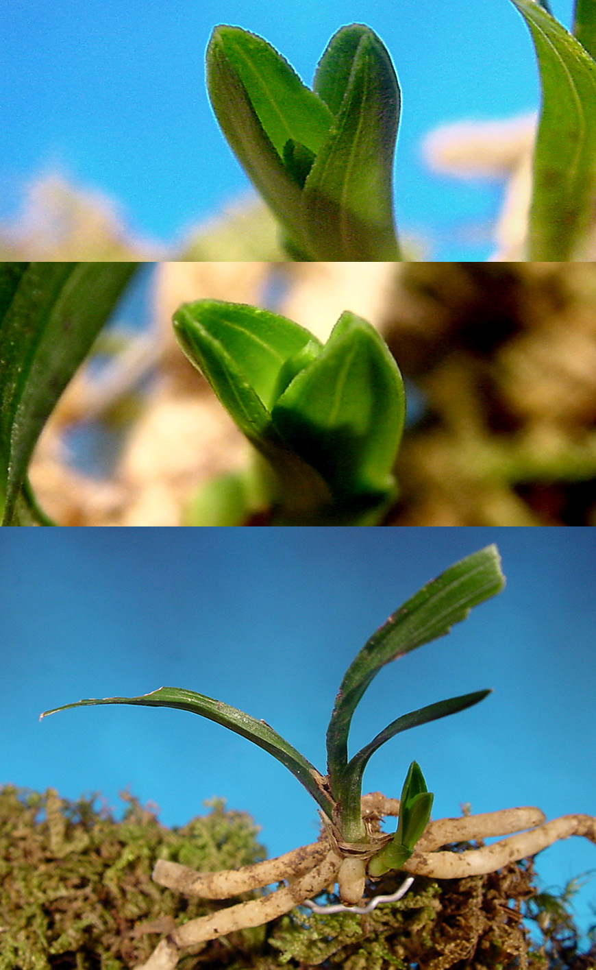 ������ ū������ �� �� �ֽ��ϴ�.