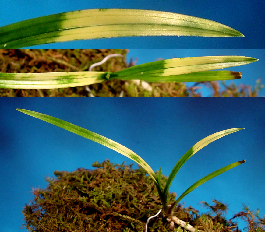 ������ ū������ �� �� �ֽ��ϴ�.