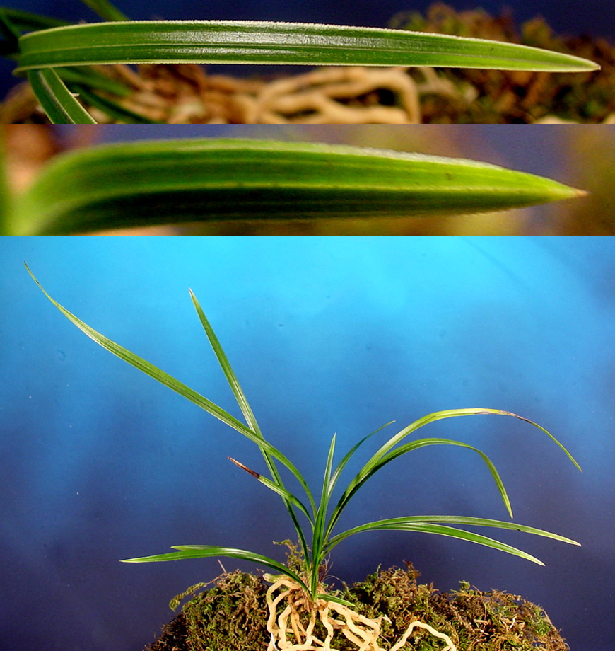 ������ ū������ �� �� �ֽ��ϴ�.