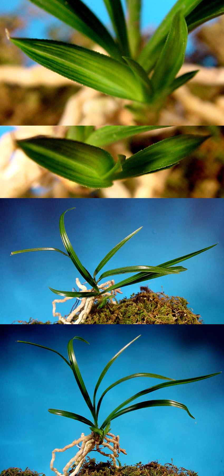 ������ ū������ �� �� �ֽ��ϴ�.