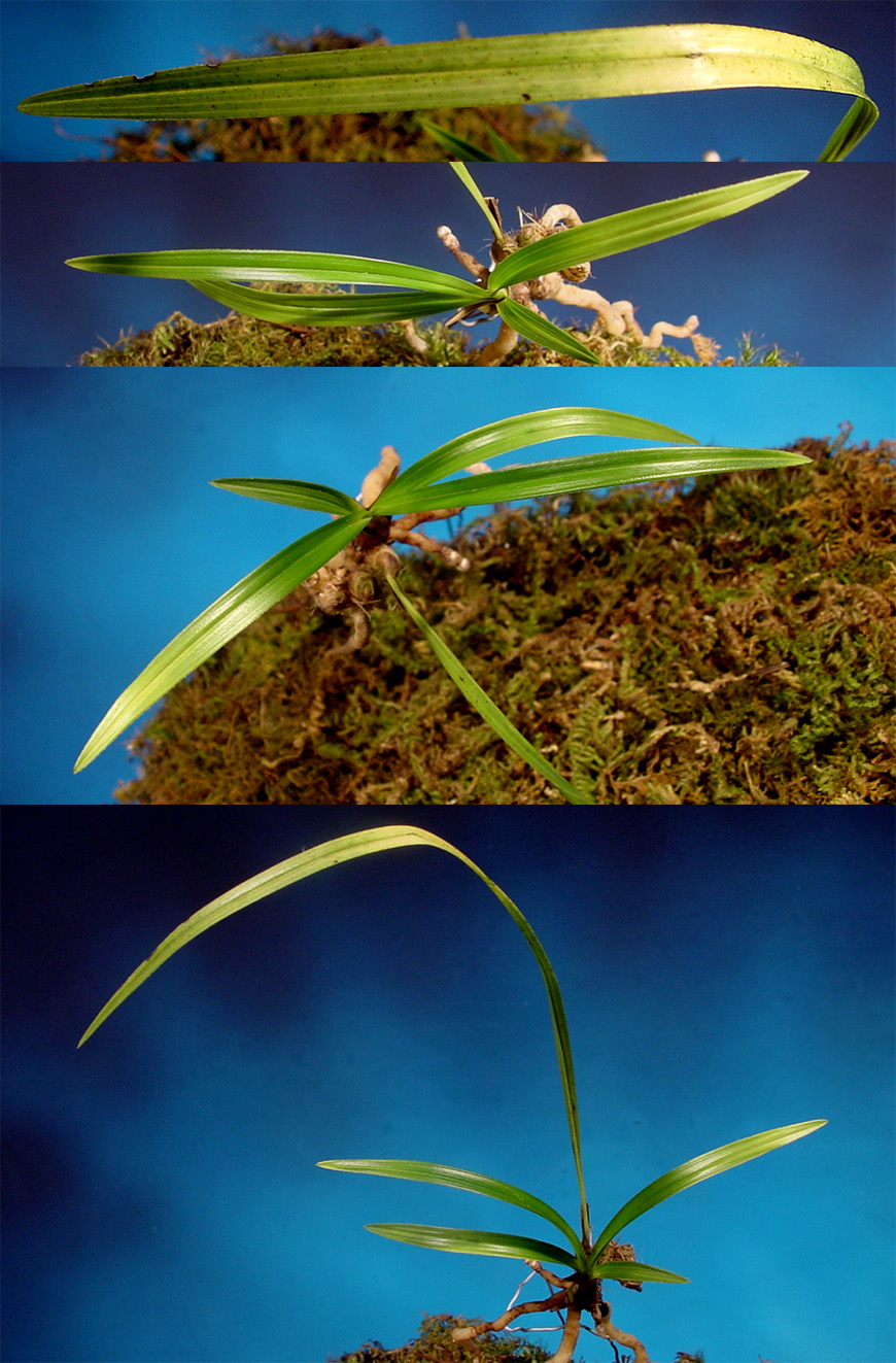 ������ ū������ �� �� �ֽ��ϴ�.