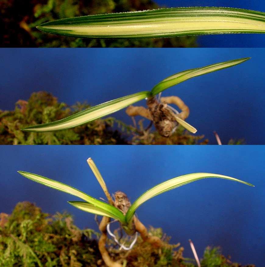 ������ ū������ �� �� �ֽ��ϴ�.