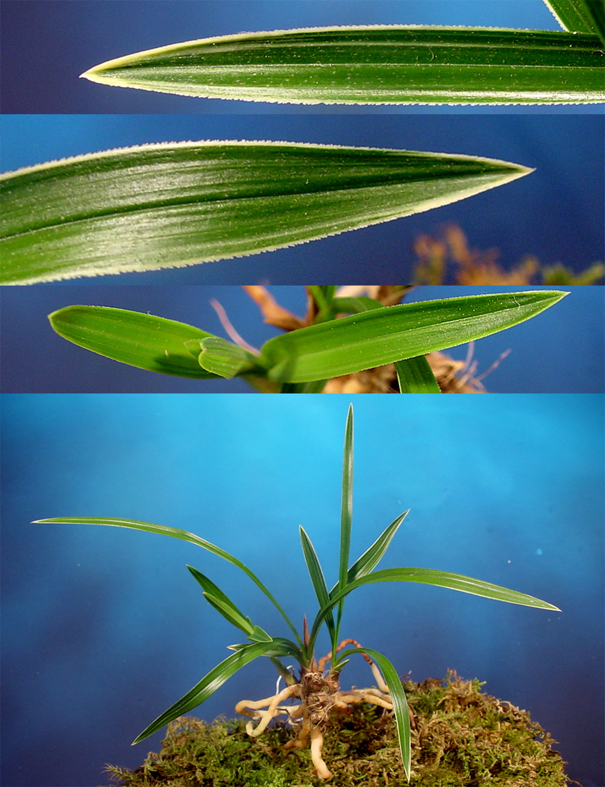 ������ ū������ �� �� �ֽ��ϴ�.