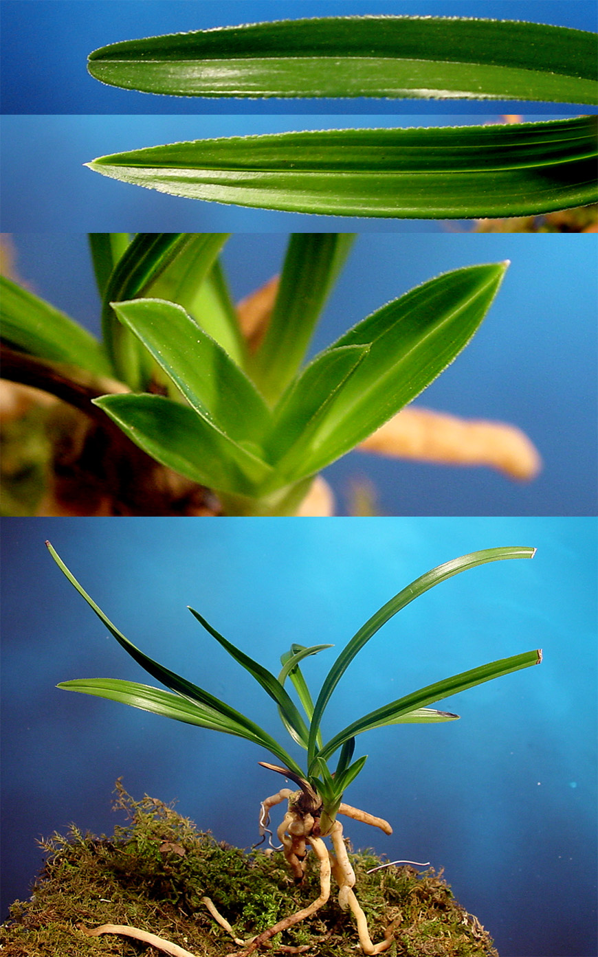 ������ ū������ �� �� �ֽ��ϴ�.