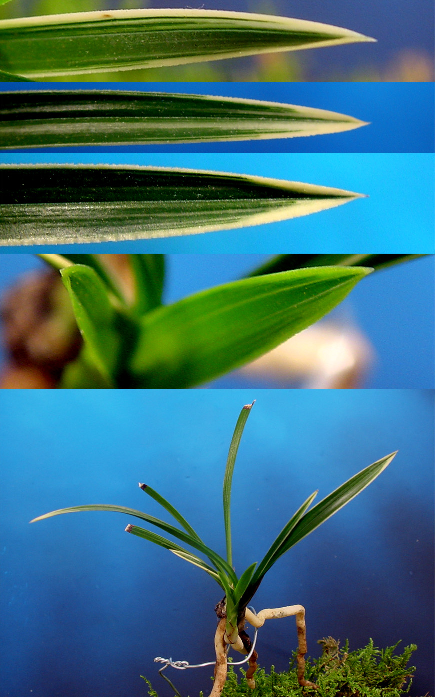 ������ ū������ �� �� �ֽ��ϴ�.