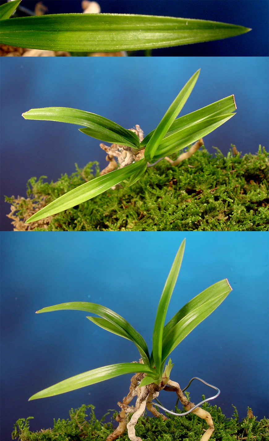 ������ ū������ �� �� �ֽ��ϴ�.