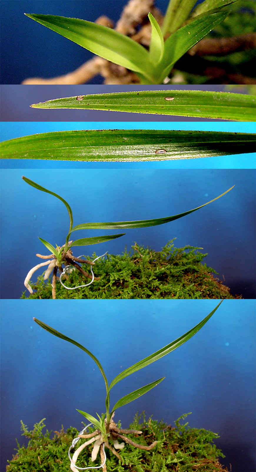 ������ ū������ �� �� �ֽ��ϴ�.