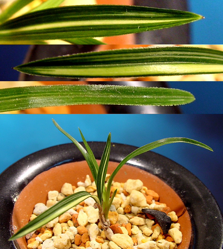 ������ ū������ �� �� �ֽ��ϴ�.