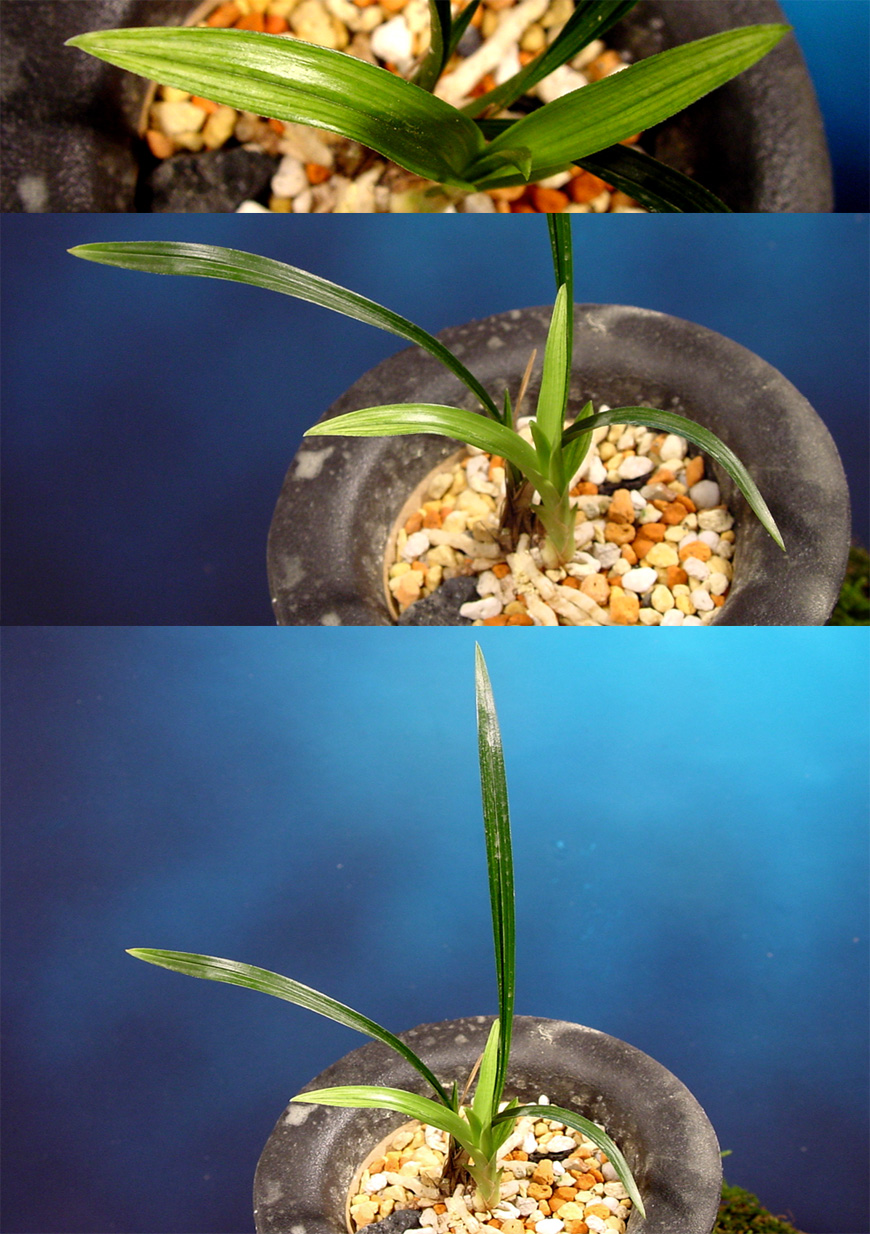 ������ ū������ �� �� �ֽ��ϴ�.