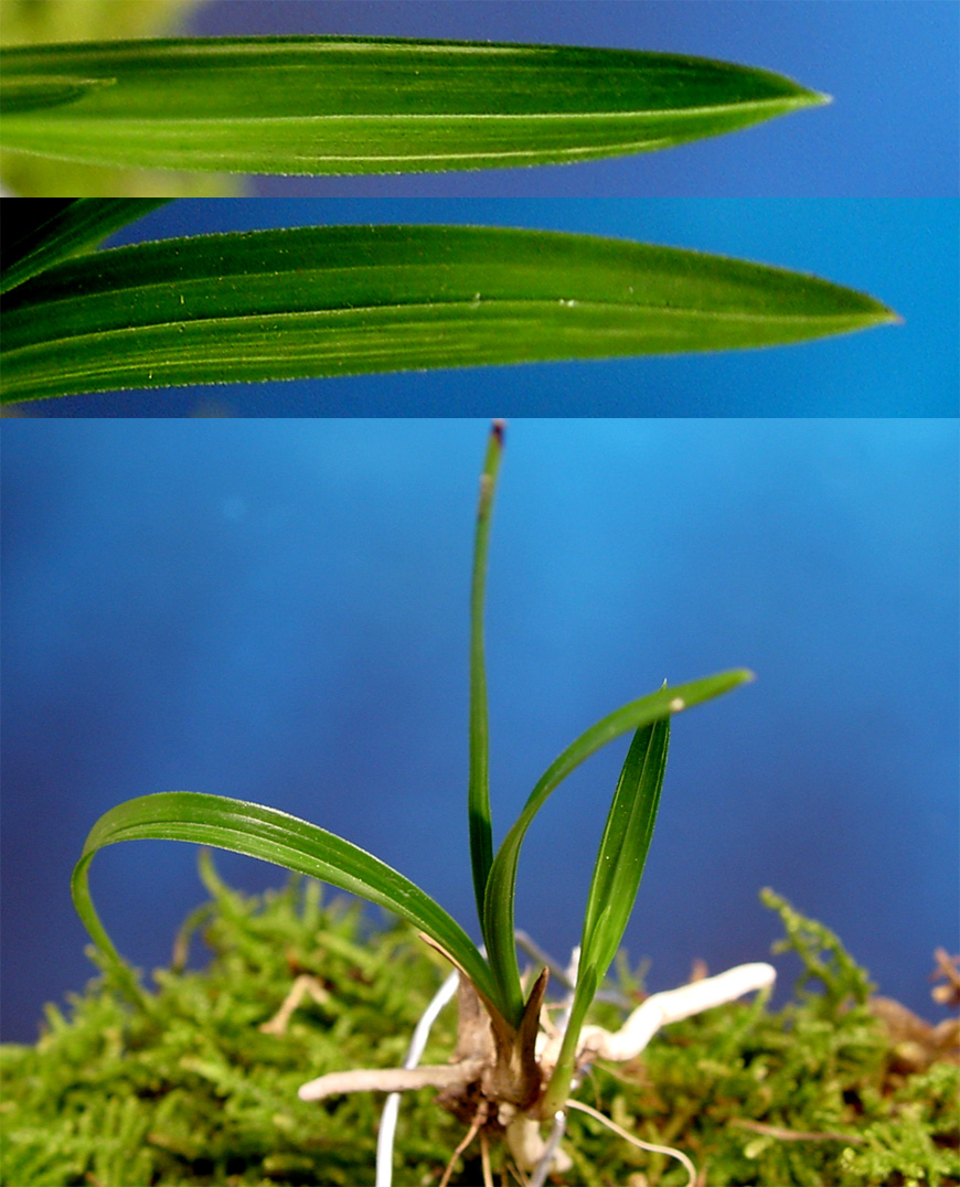 ������ ū������ �� �� �ֽ��ϴ�.