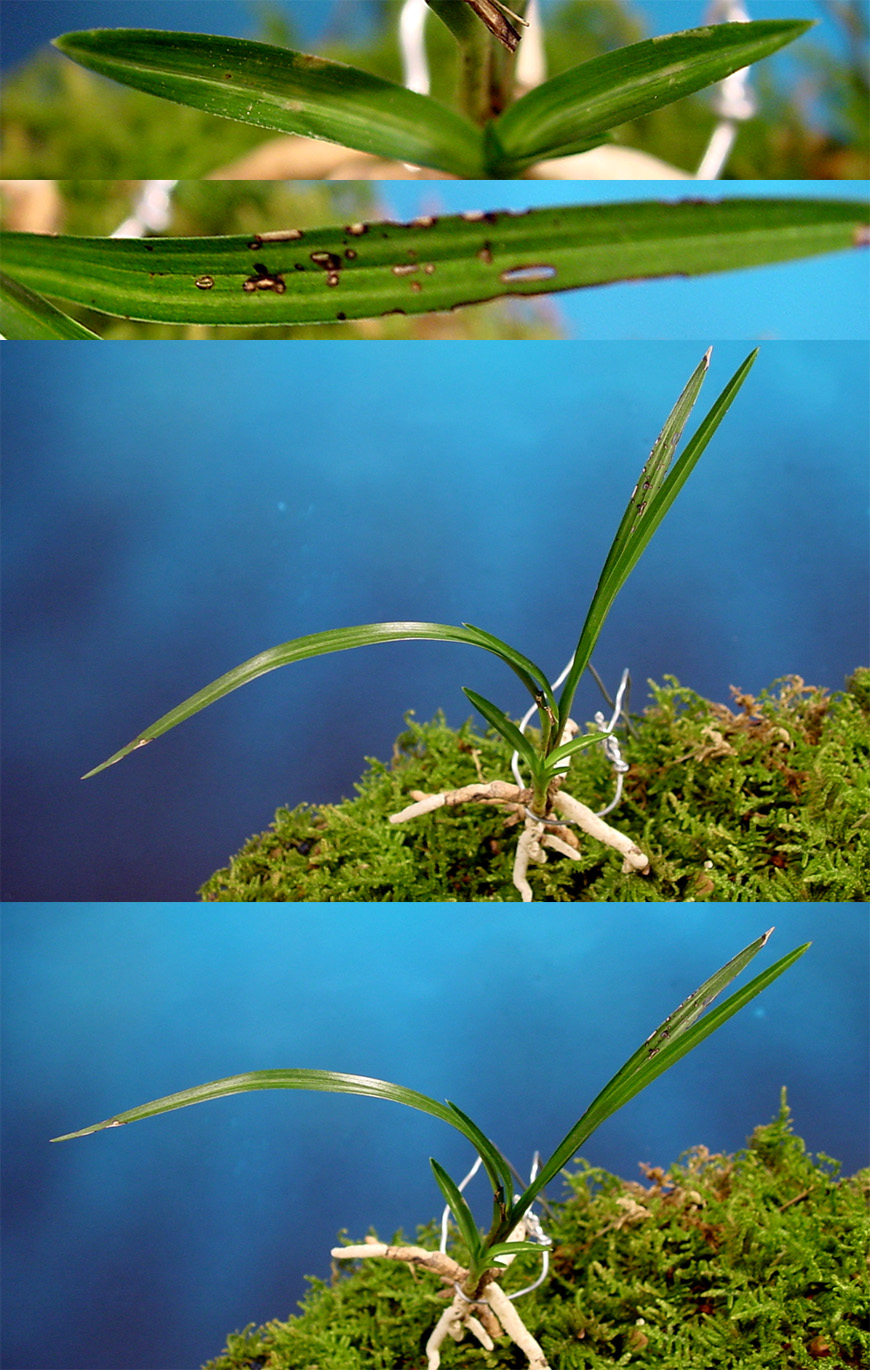 ������ ū������ �� �� �ֽ��ϴ�.