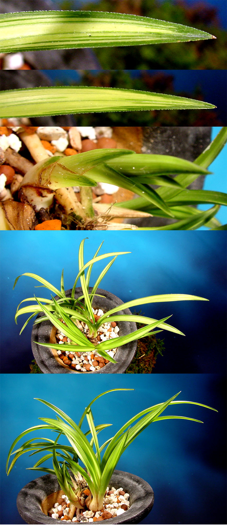 ������ ū������ �� �� �ֽ��ϴ�.