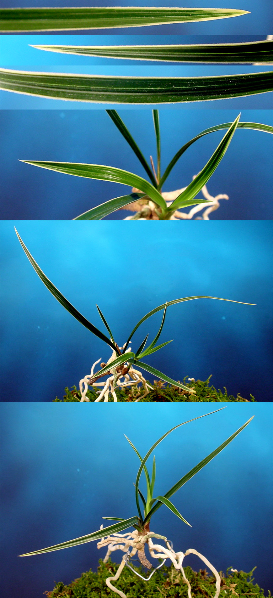 ������ ū������ �� �� �ֽ��ϴ�.