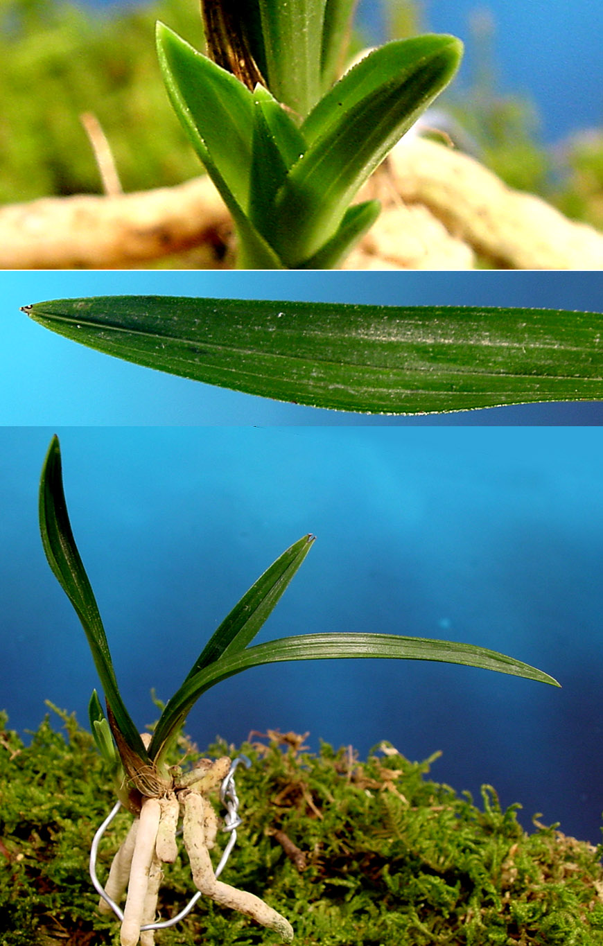 ������ ū������ �� �� �ֽ��ϴ�.