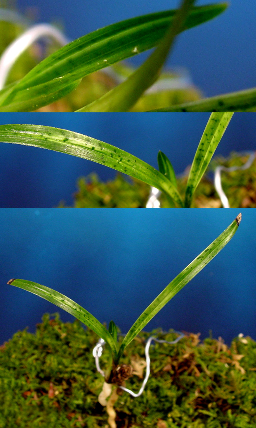 ������ ū������ �� �� �ֽ��ϴ�.