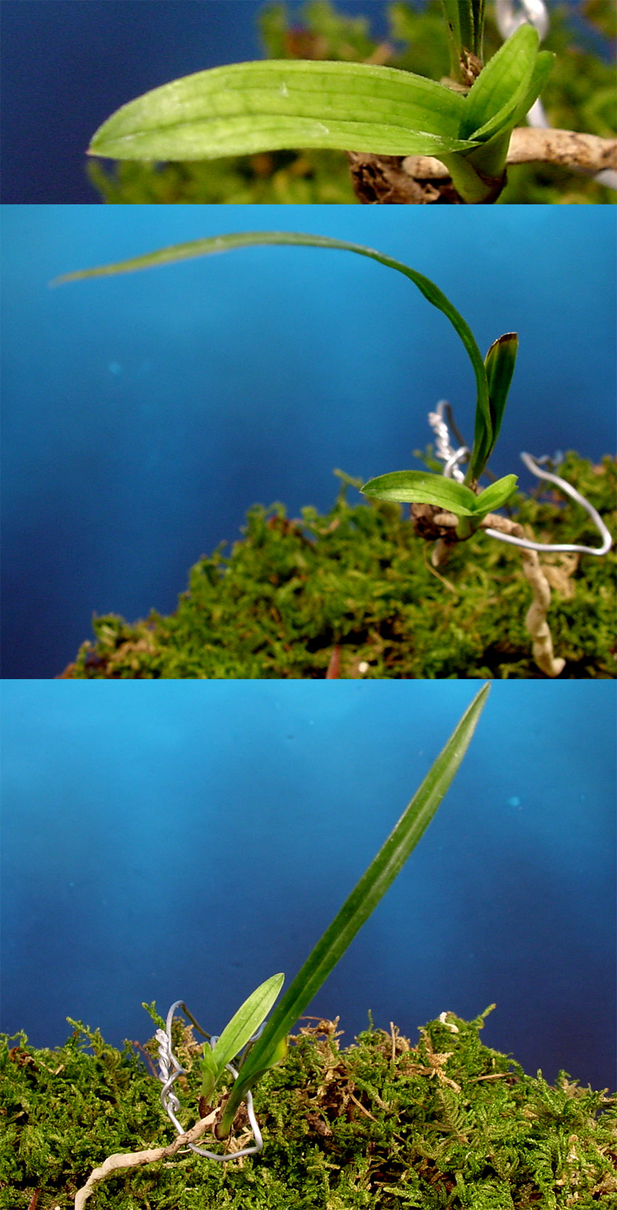 ������ ū������ �� �� �ֽ��ϴ�.