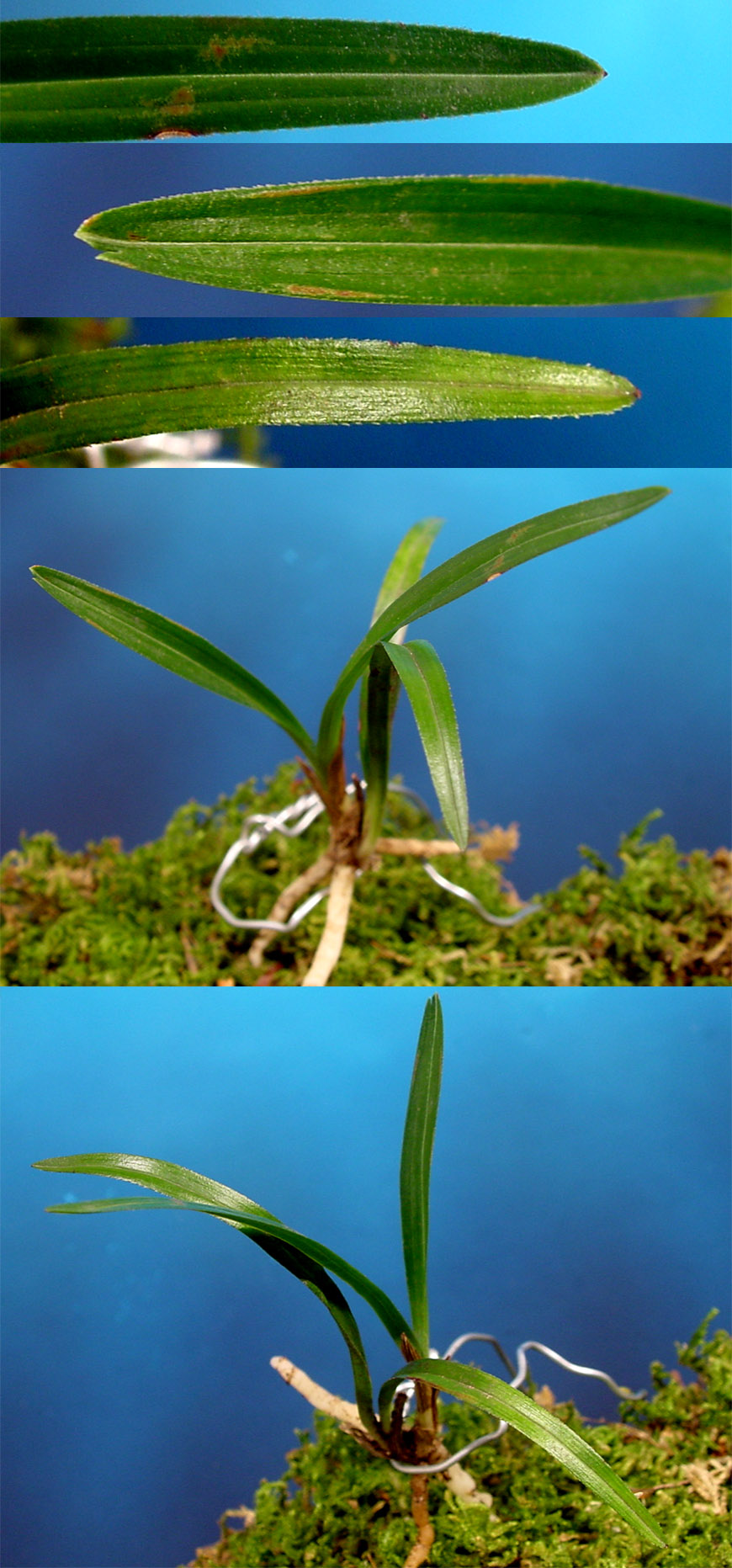 ������ ū������ �� �� �ֽ��ϴ�.