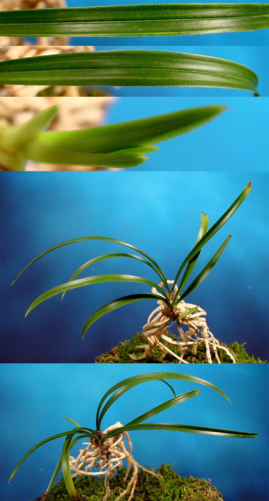 ������ ū������ �� �� �ֽ��ϴ�.