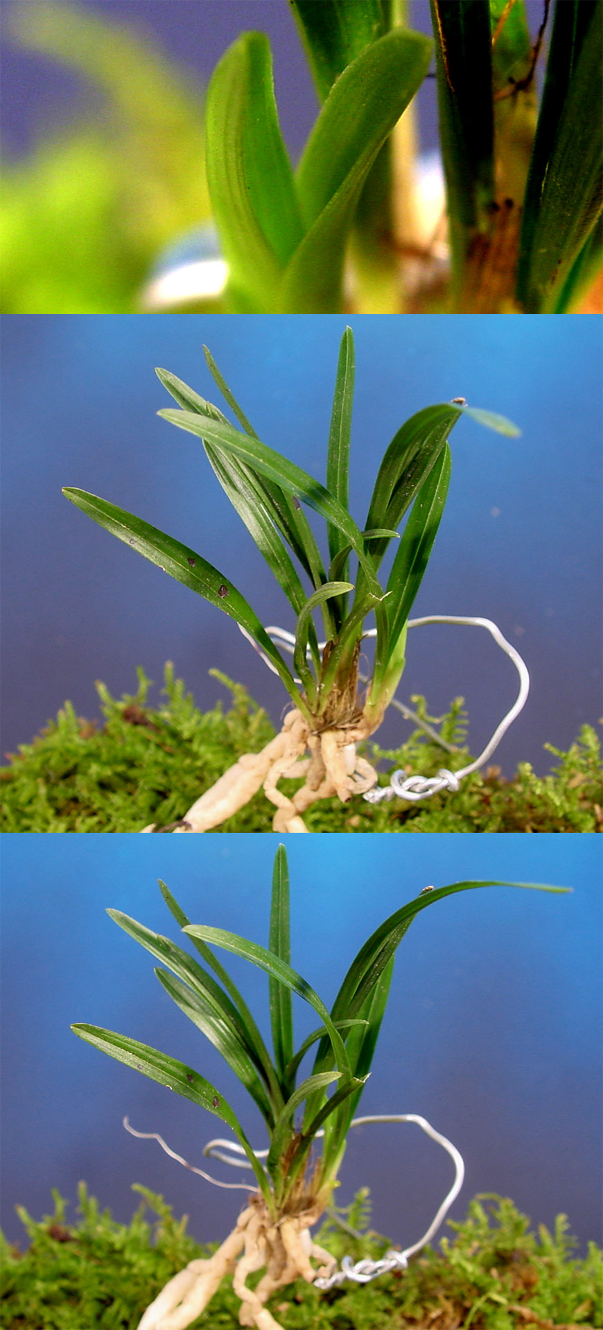 ������ ū������ �� �� �ֽ��ϴ�.