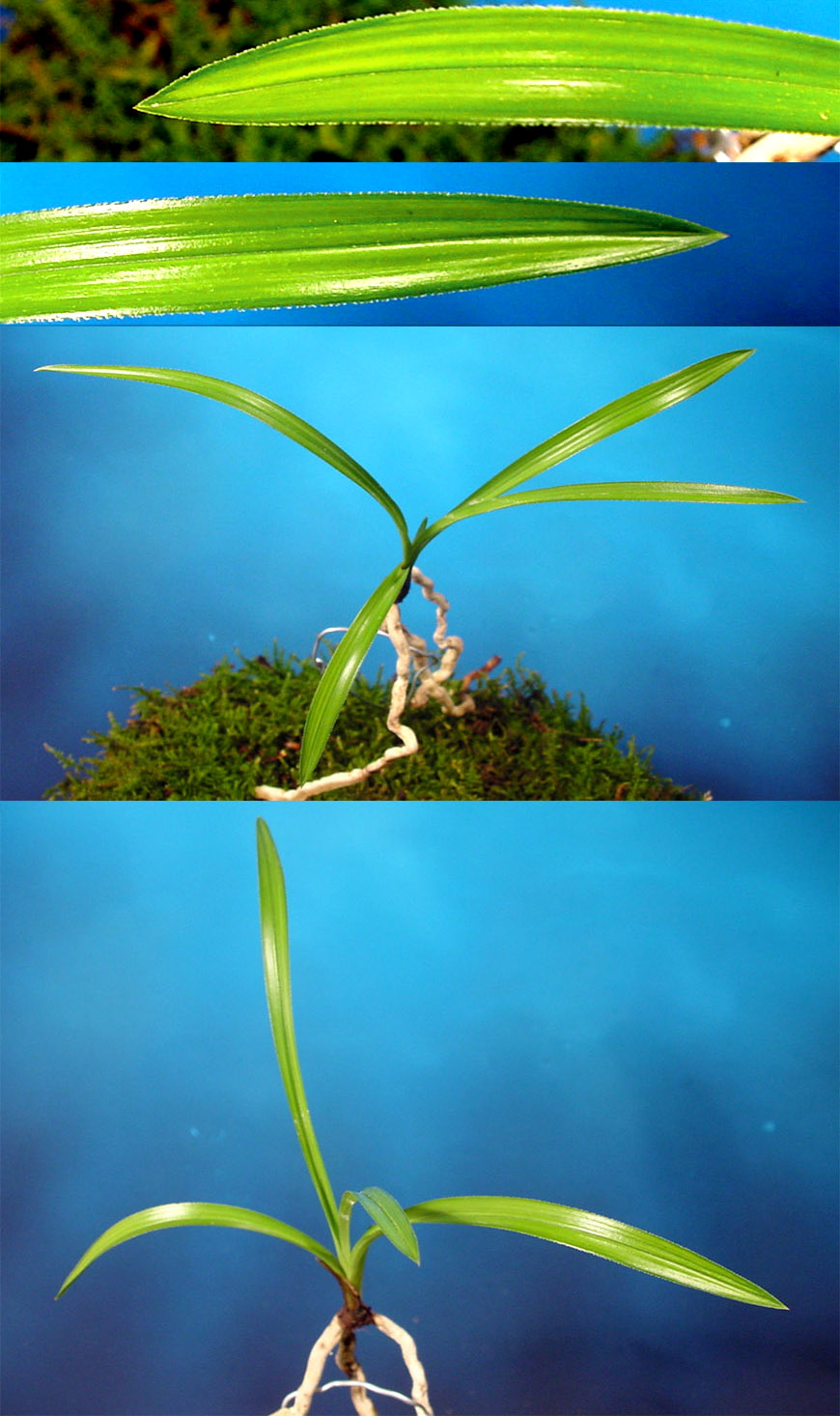 ������ ū������ �� �� �ֽ��ϴ�.