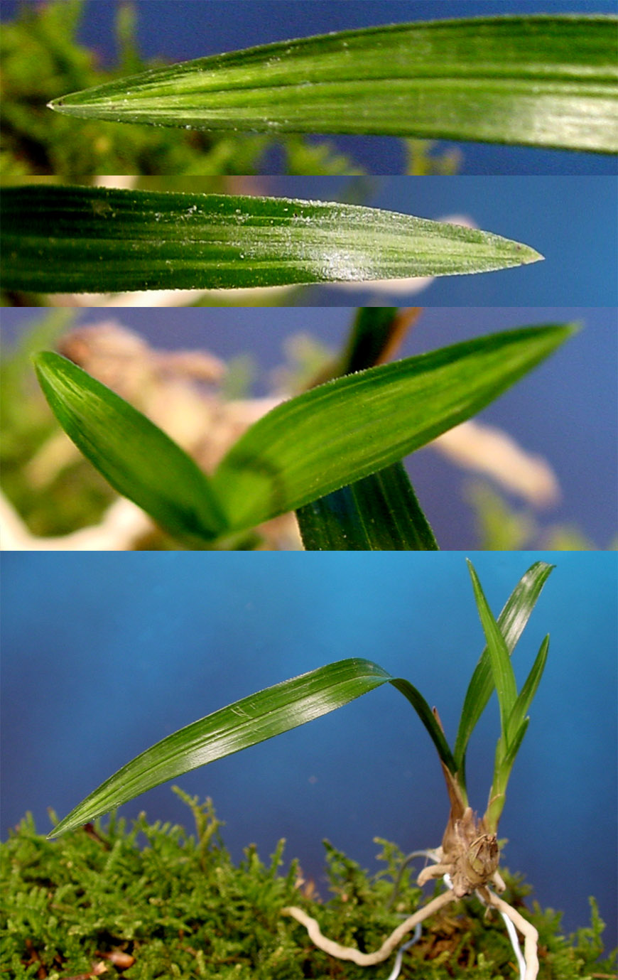 ������ ū������ �� �� �ֽ��ϴ�.