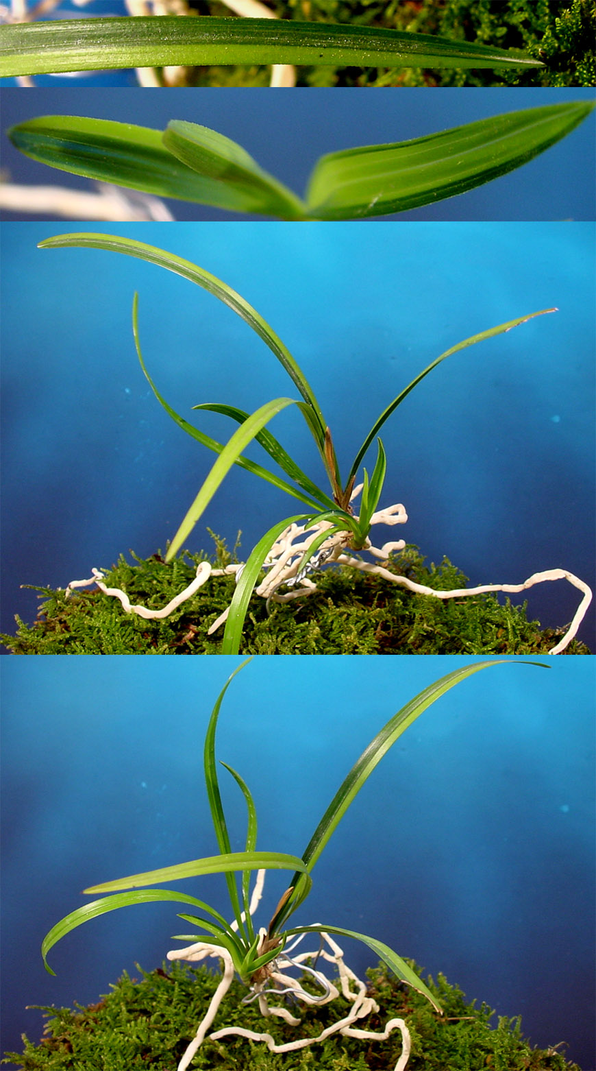 ������ ū������ �� �� �ֽ��ϴ�.