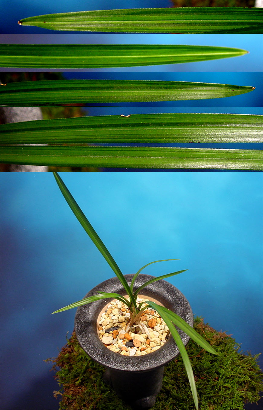 ������ ū������ �� �� �ֽ��ϴ�.