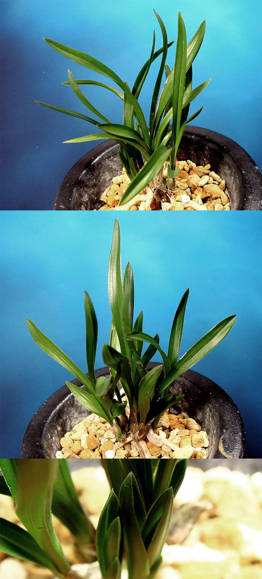 ������ ū������ �� �� �ֽ��ϴ�.