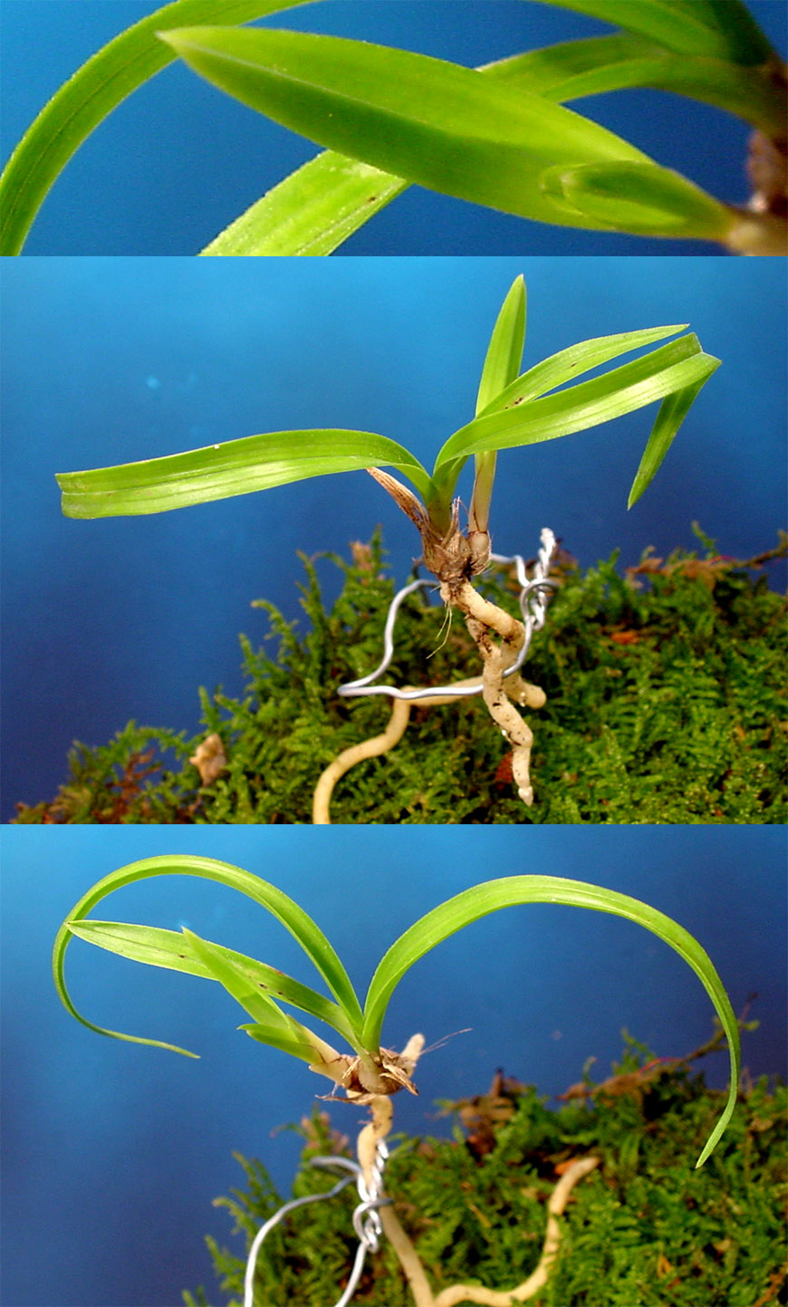 ������ ū������ �� �� �ֽ��ϴ�.