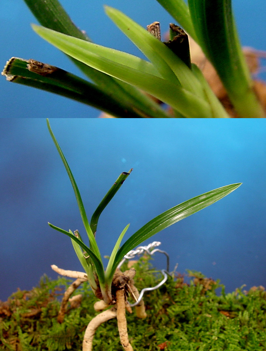 ������ ū������ �� �� �ֽ��ϴ�.