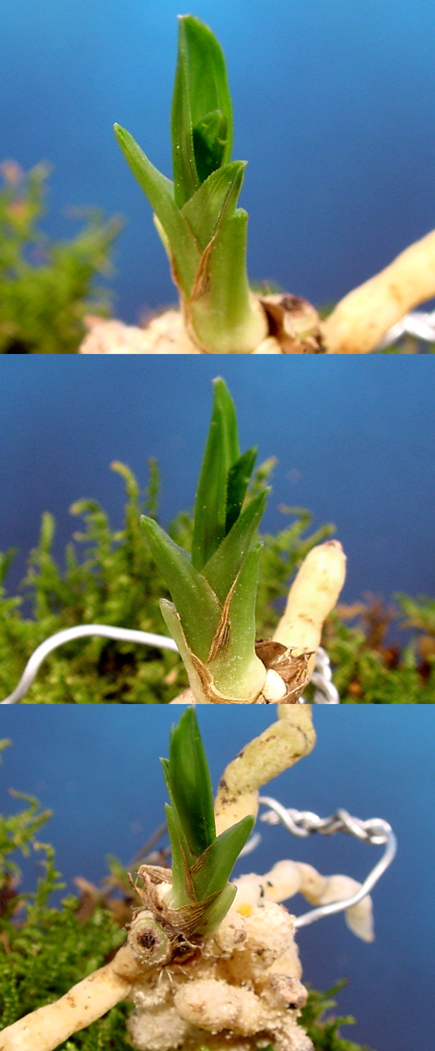 ������ ū������ �� �� �ֽ��ϴ�.