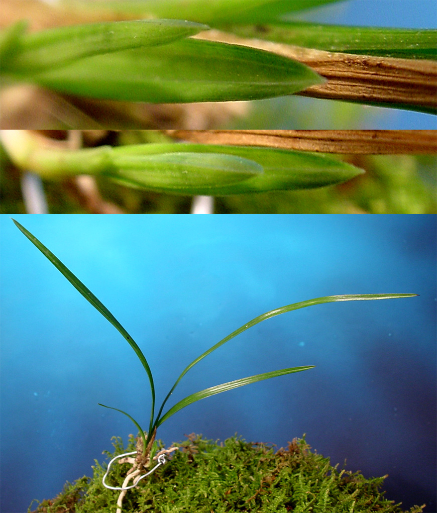 ������ ū������ �� �� �ֽ��ϴ�.