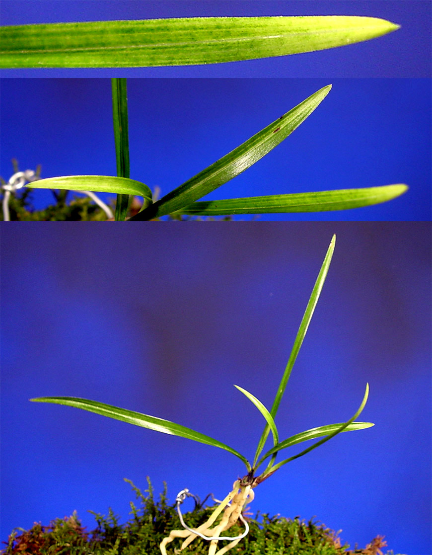 ������ ū������ �� �� �ֽ��ϴ�.