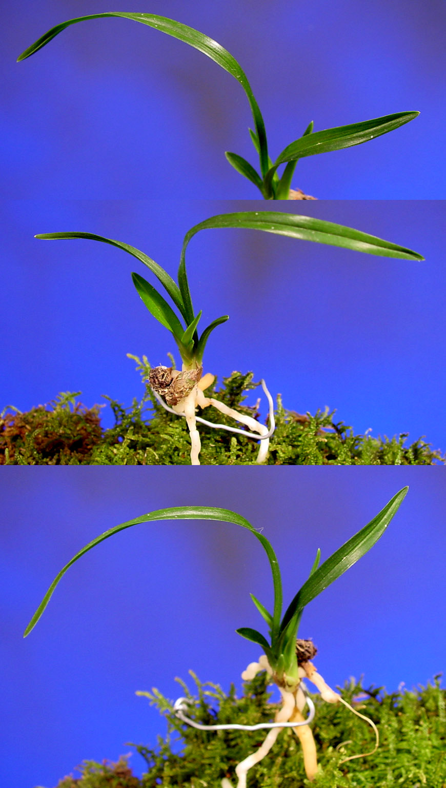 ������ ū������ �� �� �ֽ��ϴ�.