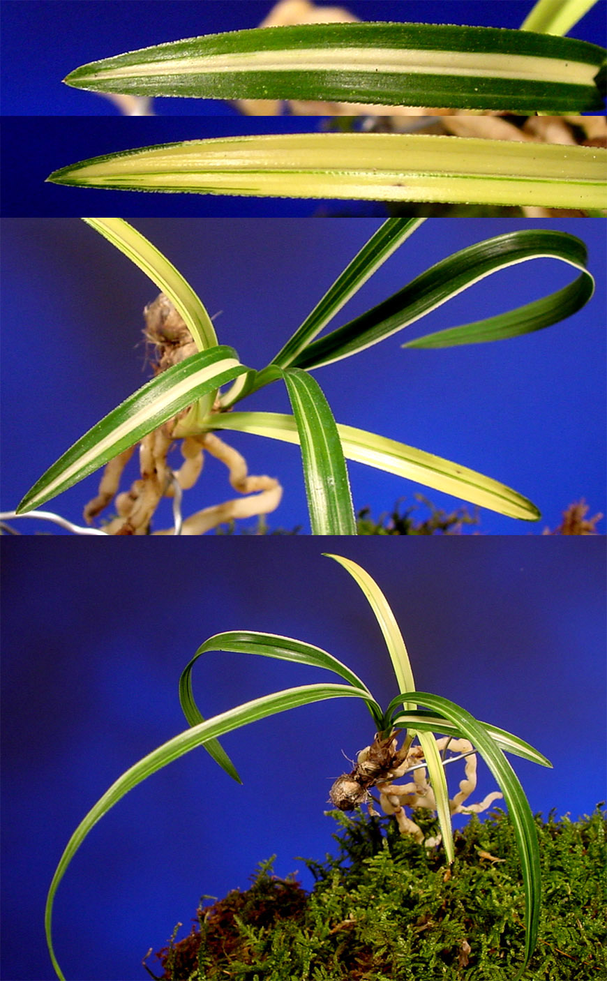 ������ ū������ �� �� �ֽ��ϴ�.