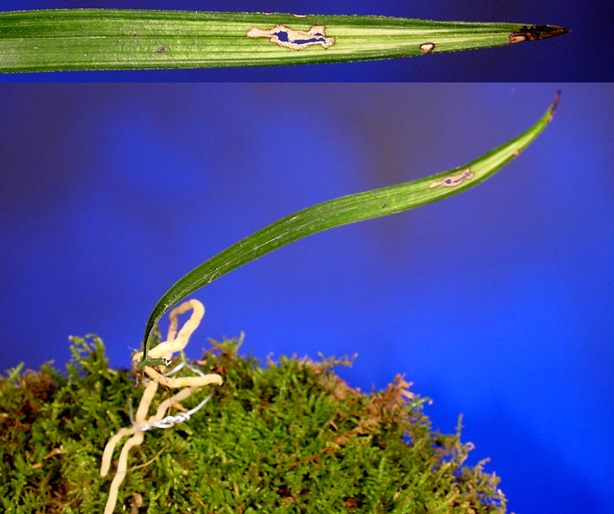 ������ ū������ �� �� �ֽ��ϴ�.