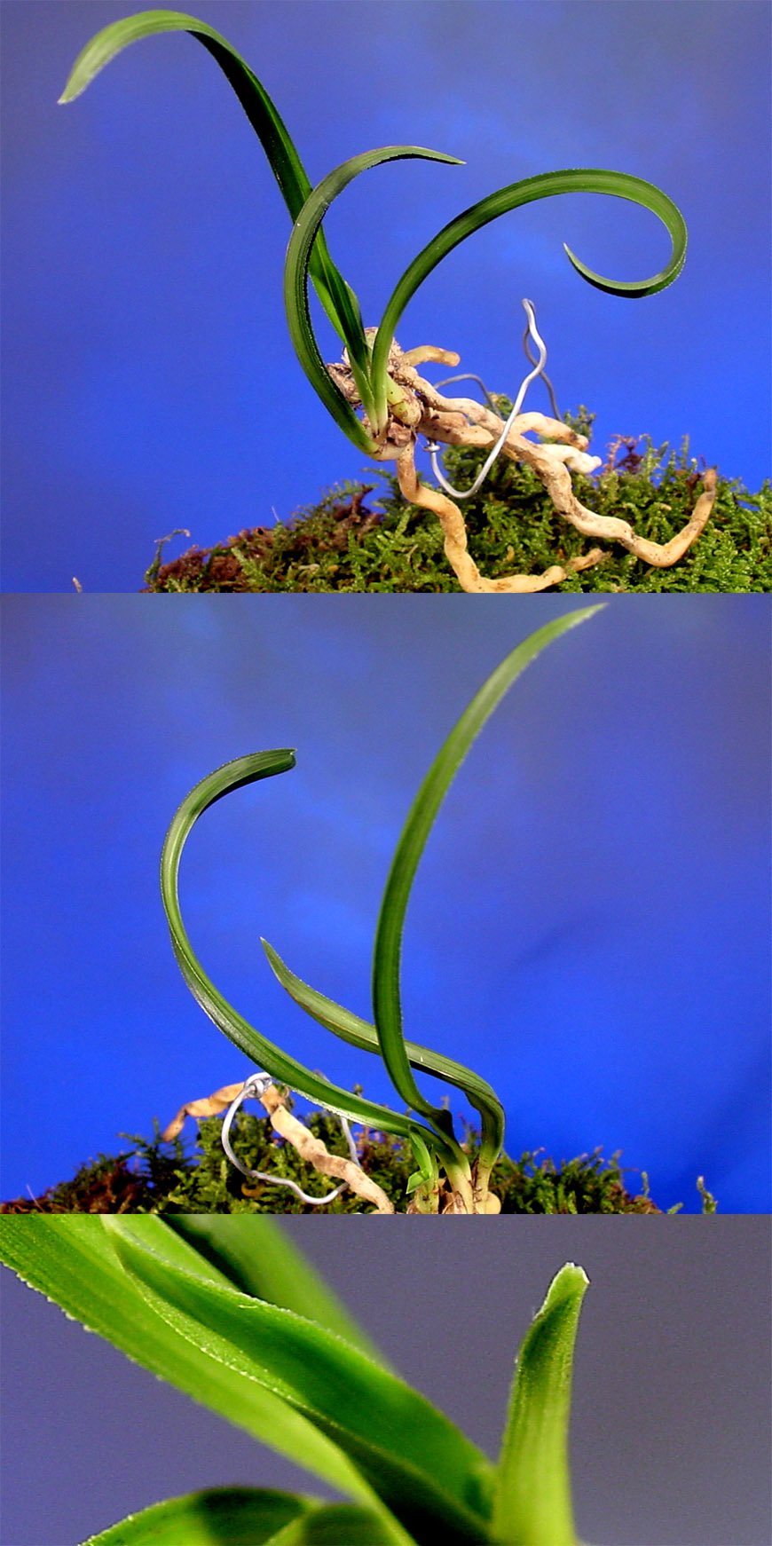 ������ ū������ �� �� �ֽ��ϴ�.