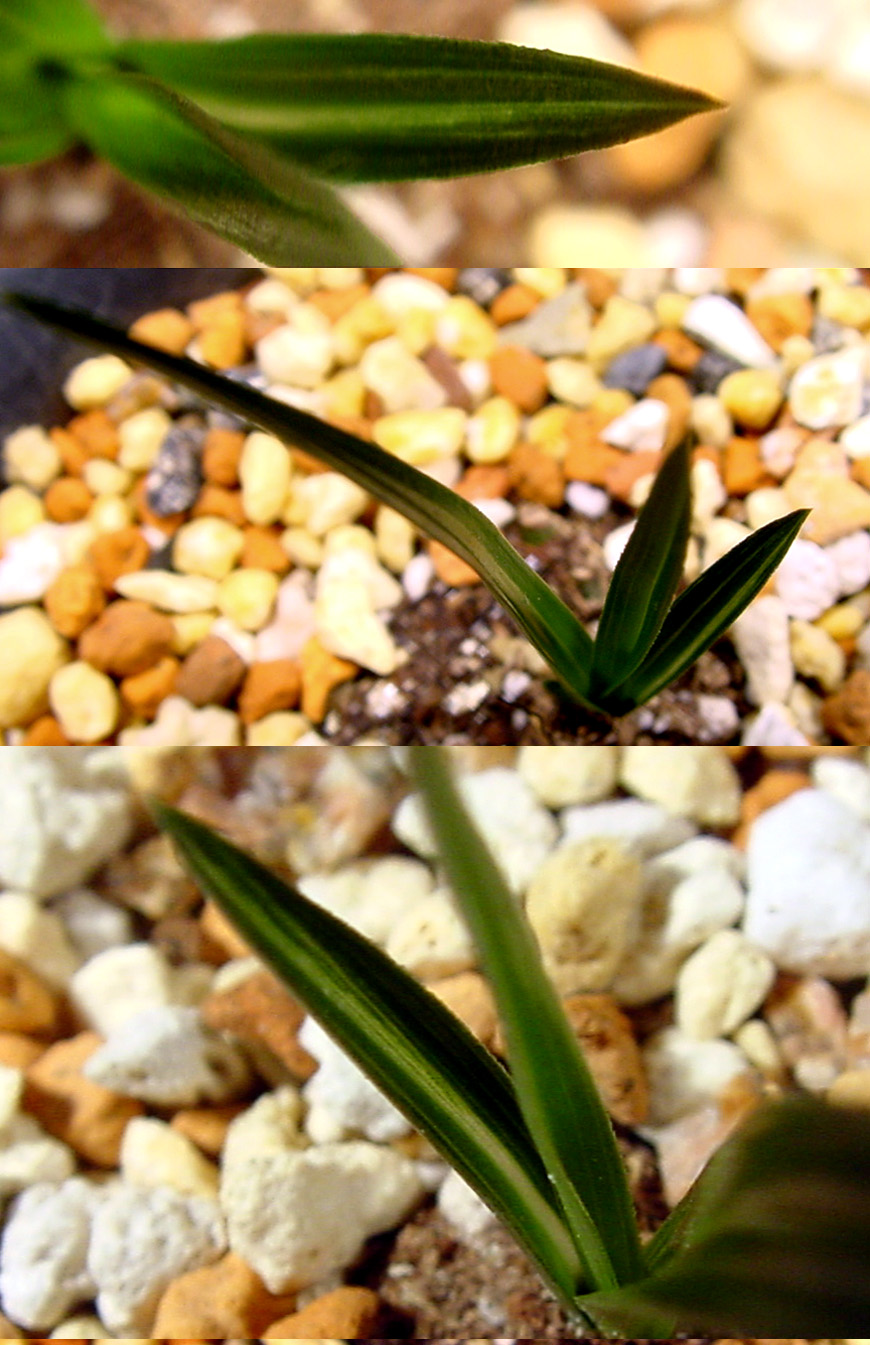 ������ ū������ �� �� �ֽ��ϴ�.