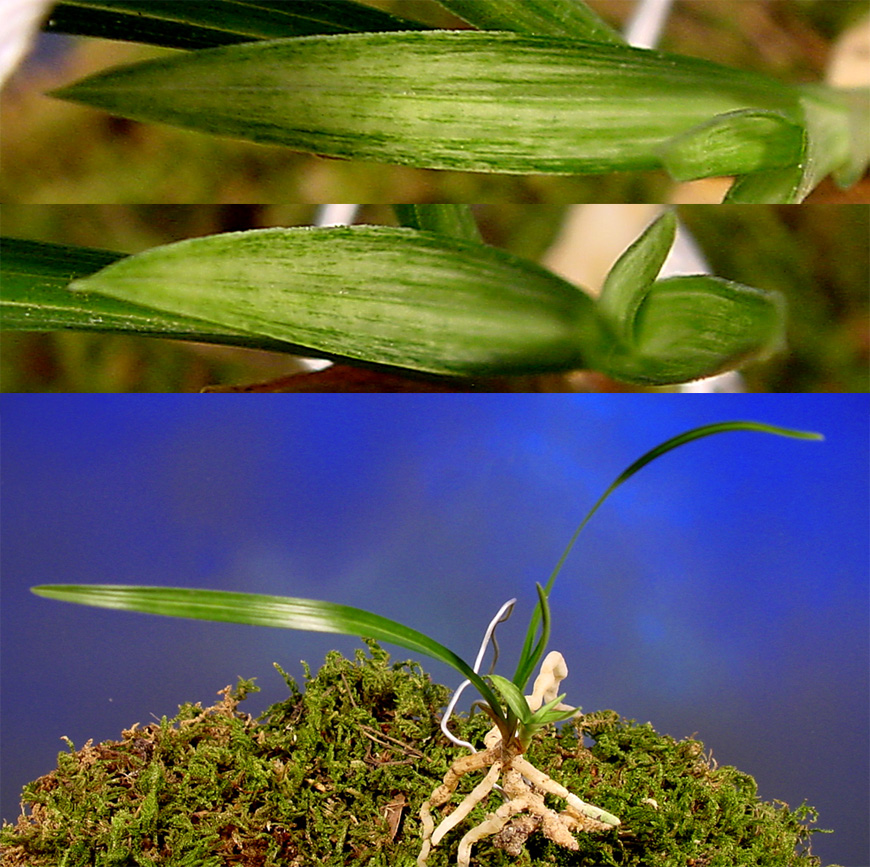 ������ ū������ �� �� �ֽ��ϴ�.