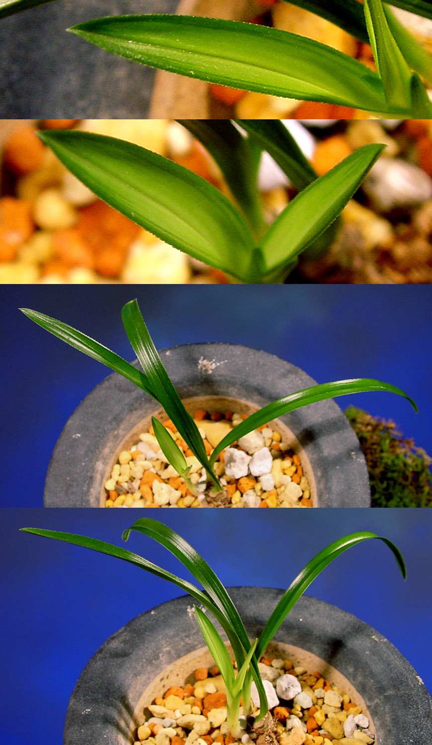 ������ ū������ �� �� �ֽ��ϴ�.