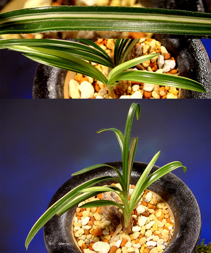 ������ ū������ �� �� �ֽ��ϴ�.