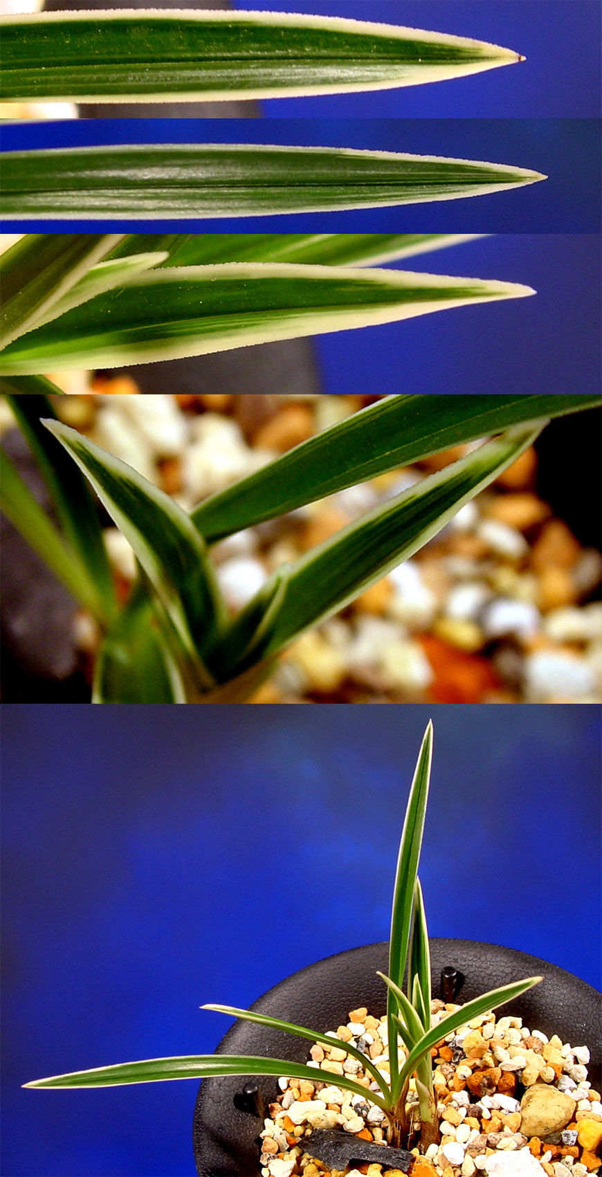 ������ ū������ �� �� �ֽ��ϴ�.